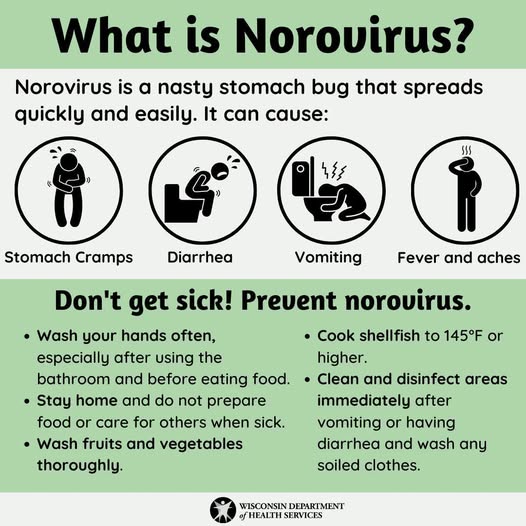 Norovirus.jpg